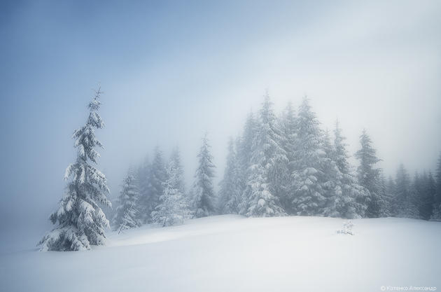 Snowy Carpathian Mountain Range by Alexander Kotenko