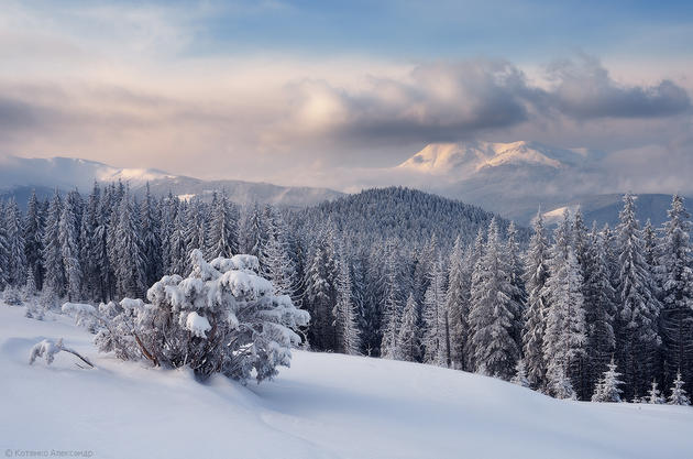 Snowy Carpathian Mountain Range by Alexander Kotenko