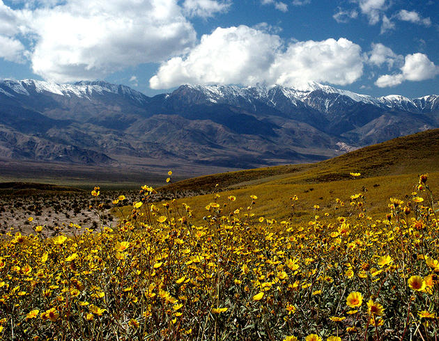 Beautiful Fields of Death Valley