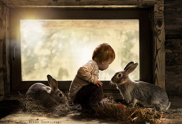 Elena Shumilova