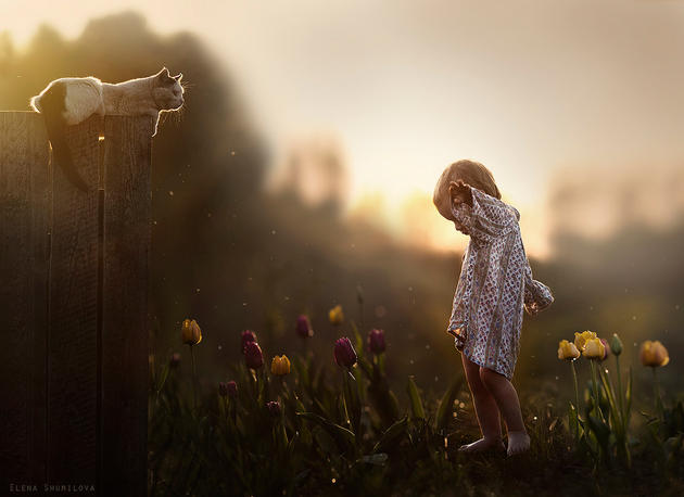 Elena Shumilova