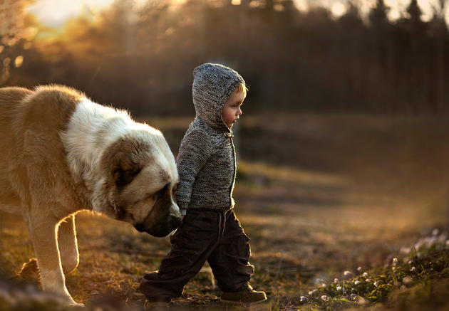 Elena Shumilova