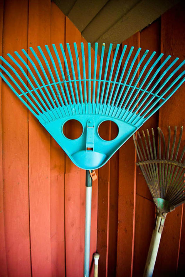 Rake Face