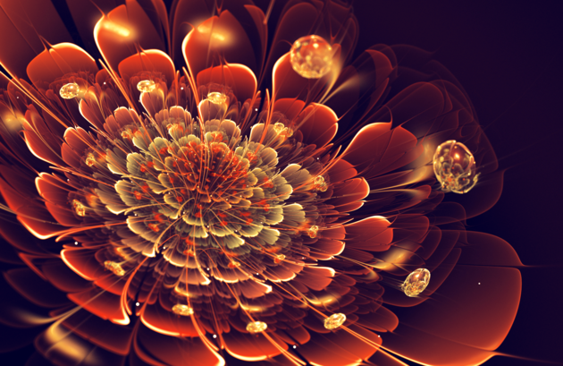 fractal art by Silvia Cordedda