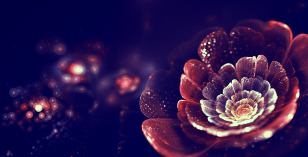 fractal art by Silvia Cordedda