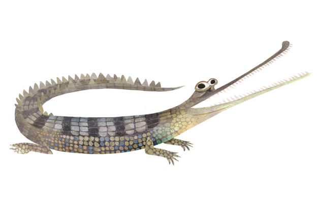 gharial