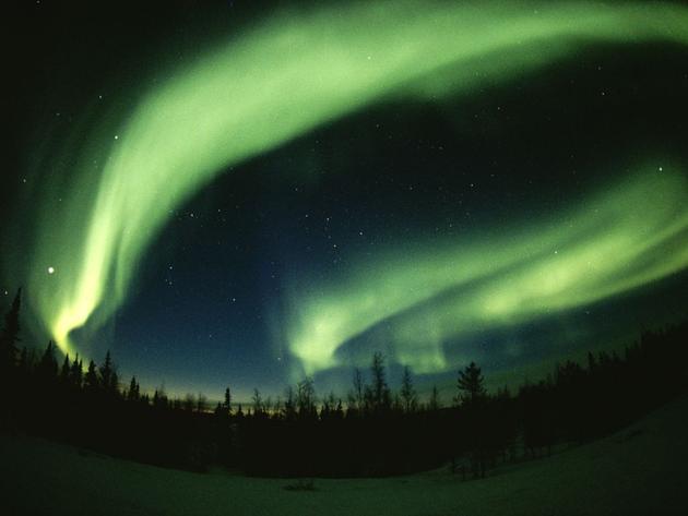 Northwest Territories Canada Paul Nicklen