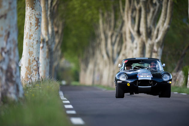 Jaguar E-type between old trees