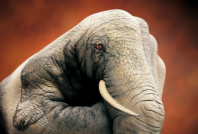 Creative hand painting by Guido Daniele