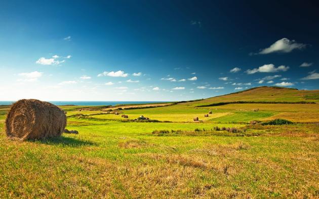 Hay Bales in the fields HD Wallpaper