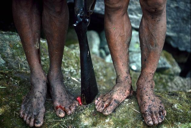 Brave Himalayan Honey Hunters