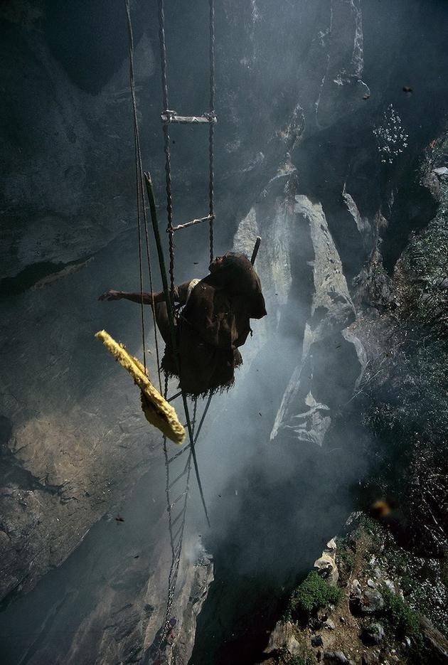 Brave Himalayan Honey Hunters