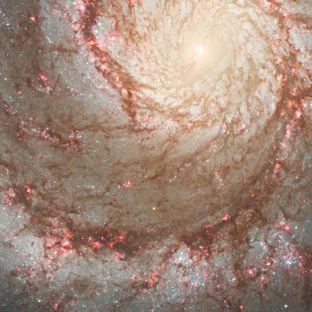 Progenitor Star M51