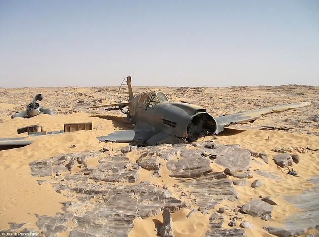 A rare Preserved wreck of a WW2 Fighter Plane P40