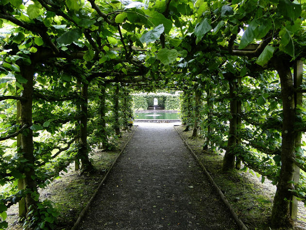 Laven Hall Green Tunnel