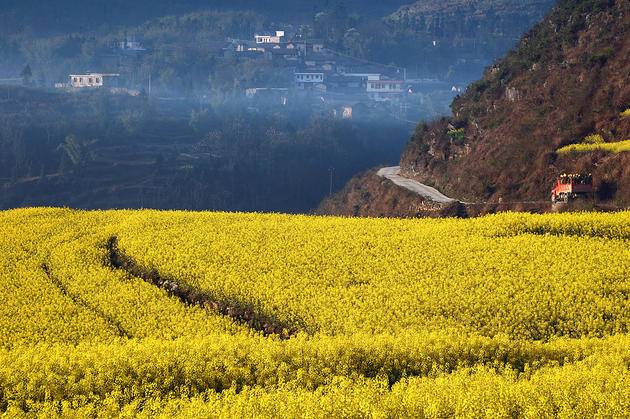 Stormy weather over Yellow Fields of Luoping