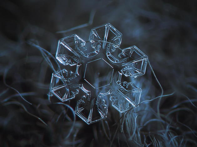 Alexey Kljatov snowflake photography macro