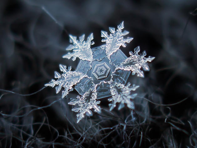 Alexey Kljatov snowflake photography macro