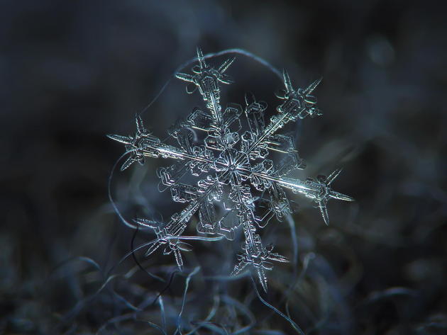 Alexey Kljatov snowflake photography macro