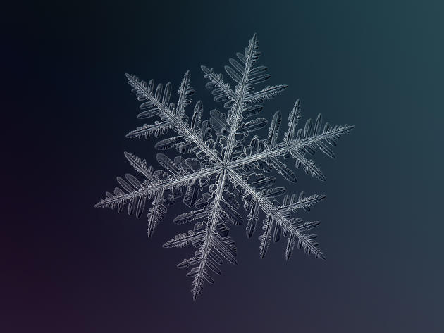 Alexey Kljatov snowflake photography macro