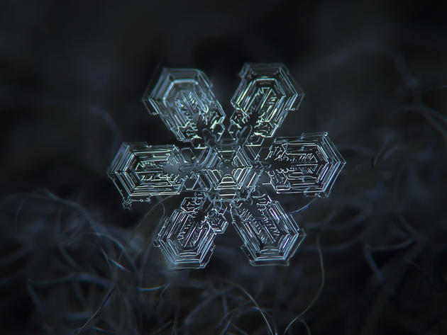 Alexey Kljatov snowflake photography macro