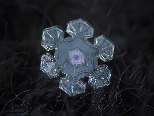 Alexey Kljatov snowflake photography macro