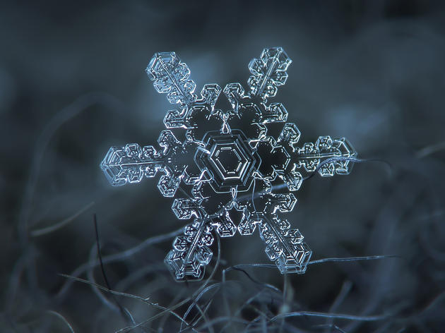 Alexey Kljatov snowflake photography macro