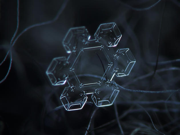 Alexey Kljatov snowflake photography macro