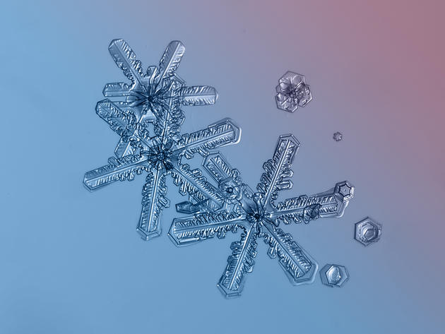 Alexey Kljatov snowflake photography macro