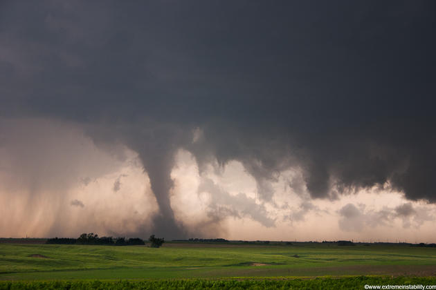 Mike Hollingshead Nature Photography