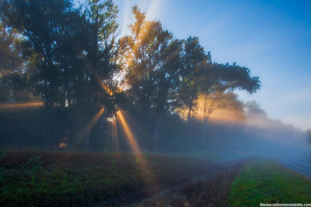 Mike Hollingshead Nature Photography