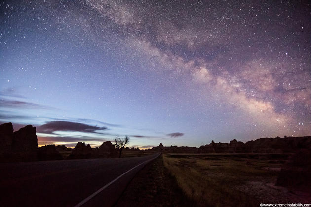 Mike Hollingshead Nature Photography