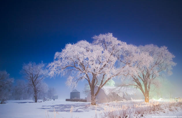 Mike Hollingshead Nature Photography