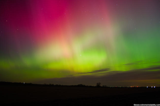 Mike Hollingshead Nature Photography