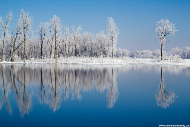 Mike Hollingshead Nature Photography