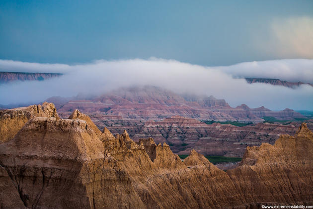 Mike Hollingshead Nature Photography