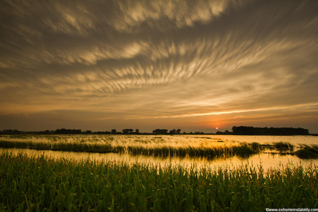 Mike Hollingshead Nature Photography