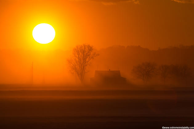 Mike Hollingshead Nature Photography