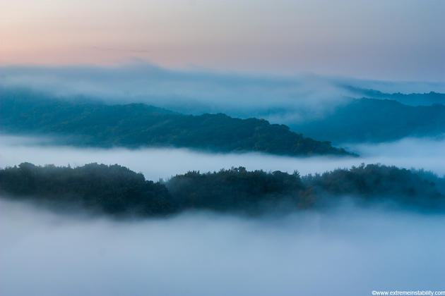 Mike Hollingshead Nature Photography