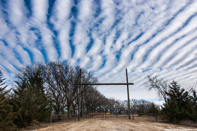 Mike Hollingshead Nature Photography