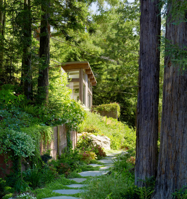 Mill Valley Cabins by Feldman Architecture in San Francisco