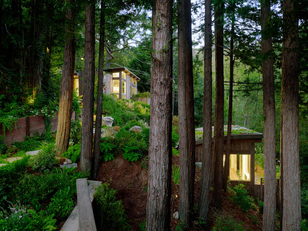 Mill Valley Cabins by Feldman Architecture in San Francisco