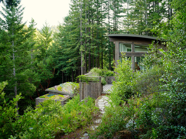 Mill Valley Cabins by Feldman Architecture in San Francisco