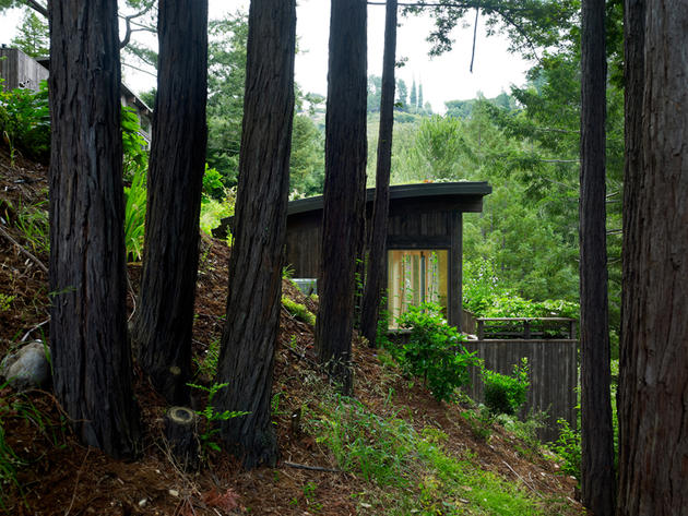 Mill Valley Cabins by Feldman Architecture in San Francisco