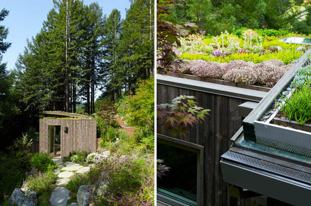 Mill Valley Cabins by Feldman Architecture in San Francisco