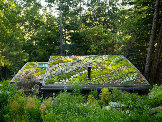 Mill Valley Cabins by Feldman Architecture in San Francisco