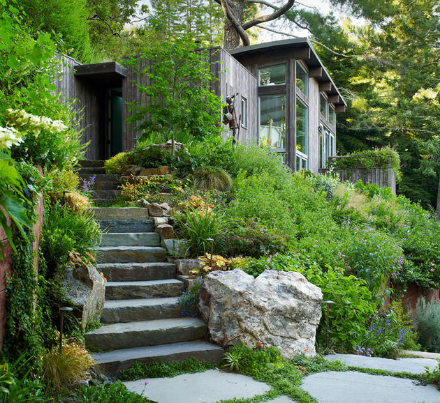 Mill Valley Cabins by Feldman Architecture in San Francisco