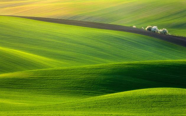 Hills of Moravia, Czech Republic HD Wallpaper