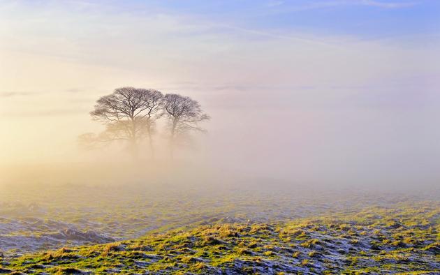 Morning Fog HD Wallpaper for PC and Mac