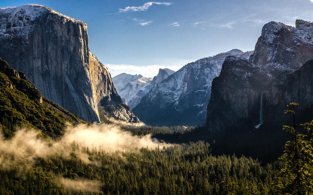 Morning in Yosemite National Park - Wallpaper
